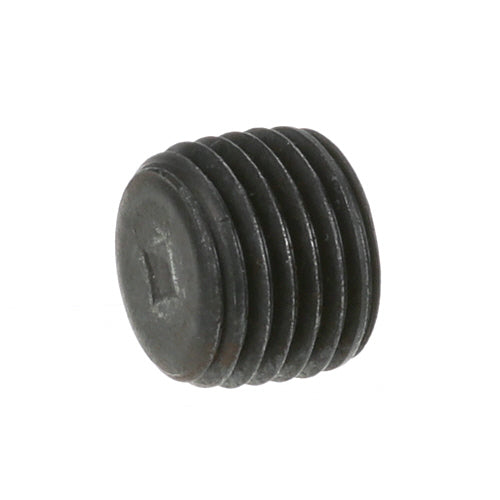 266135 AllPoints PIPE PLUG 