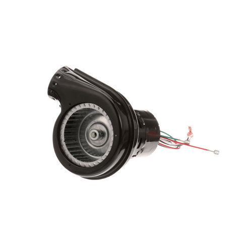 BURNER BLOWER MOTOR 115V, 3100 For Lincoln - Part# 369366