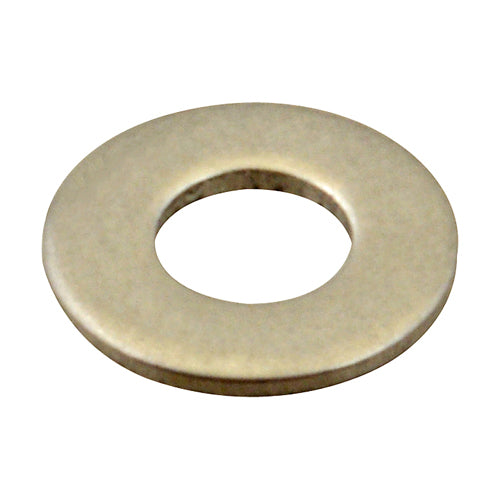 7050600 AllPoints WASHER, FLAT/SS (100) 